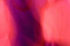 20100208-_RIC2651-scaled