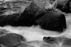 20140720-_RSC2598-scaled