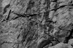 20140720-_RSC2645-scaled-e1596825451264